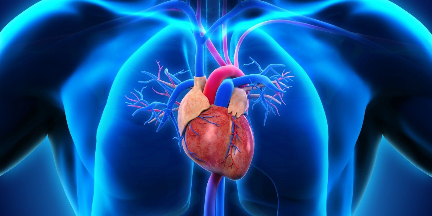 Cardiovascular Disease Market Industry Analysis Till 2028
