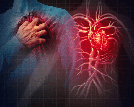 Cardiovascular Disease Market Trends & Forecast Report to 2028