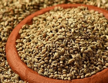 Carom Seed Market Size, In-Depth Analysis Report 2028

