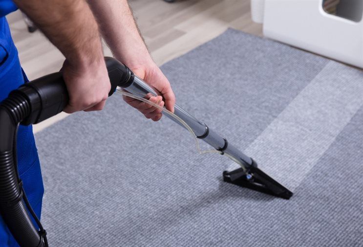 Carpet Cleaning in Oakville Enjoy Your Carpet Without Socks