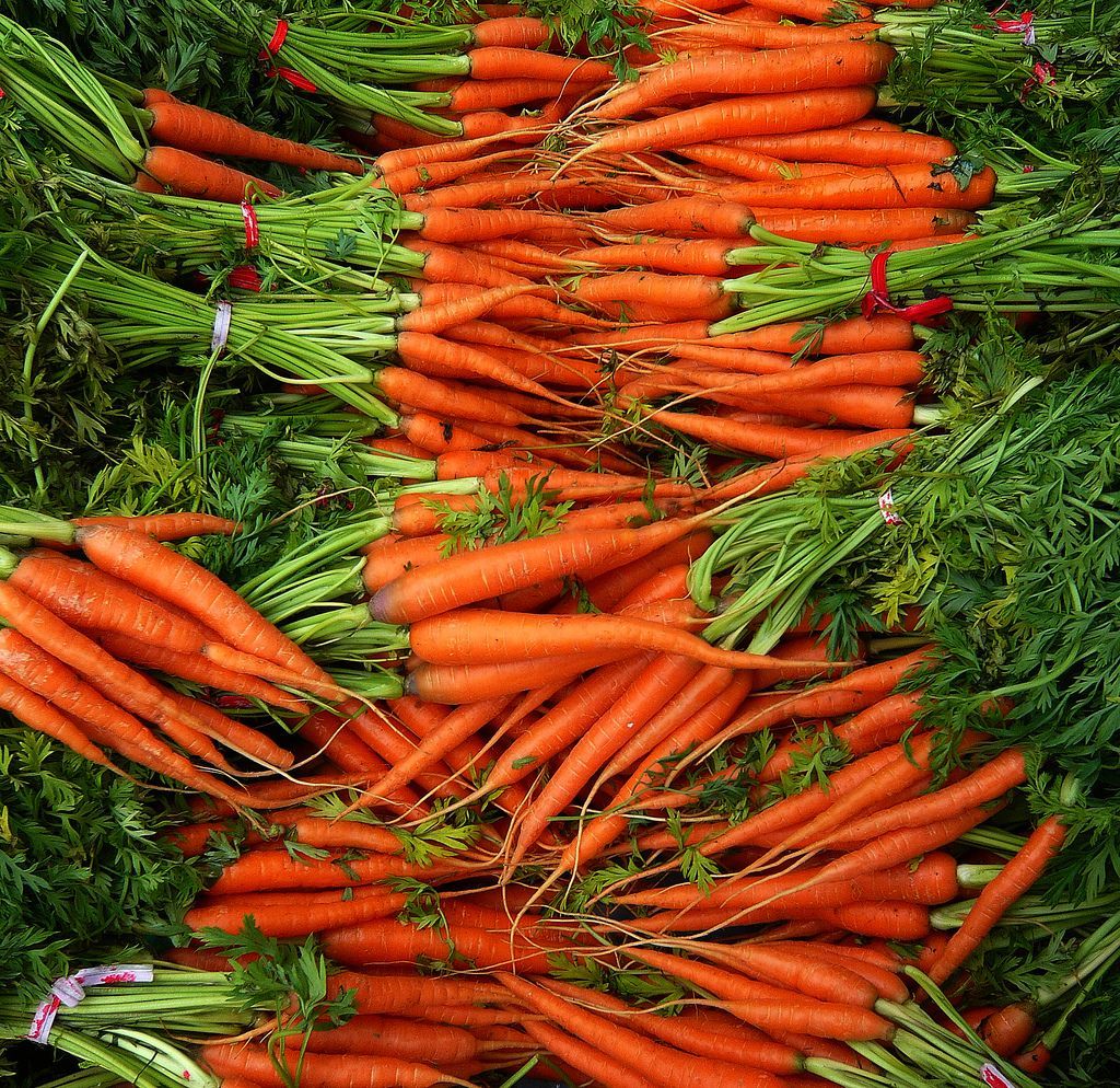 Carrot Graders Market Analysis & Industry Forecast Report, 2028
