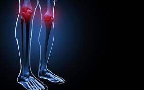 Cartilage Repair/regeneration Market Report  | Industry Analysis
