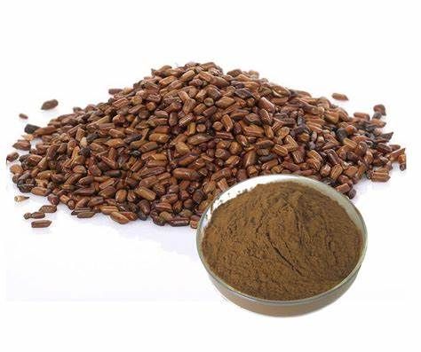Cassia Extract Market Overview 2021–2028