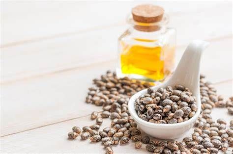 Castor Oil Market 2022 - Growing Trends and Forecast to 2028 
