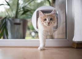 Cat Flap Market 2022 Size, Dynamics & Forecast Report to 2028
