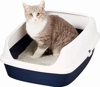 Cat Litter Box Market Along With an In-Depth Competitive 2028
