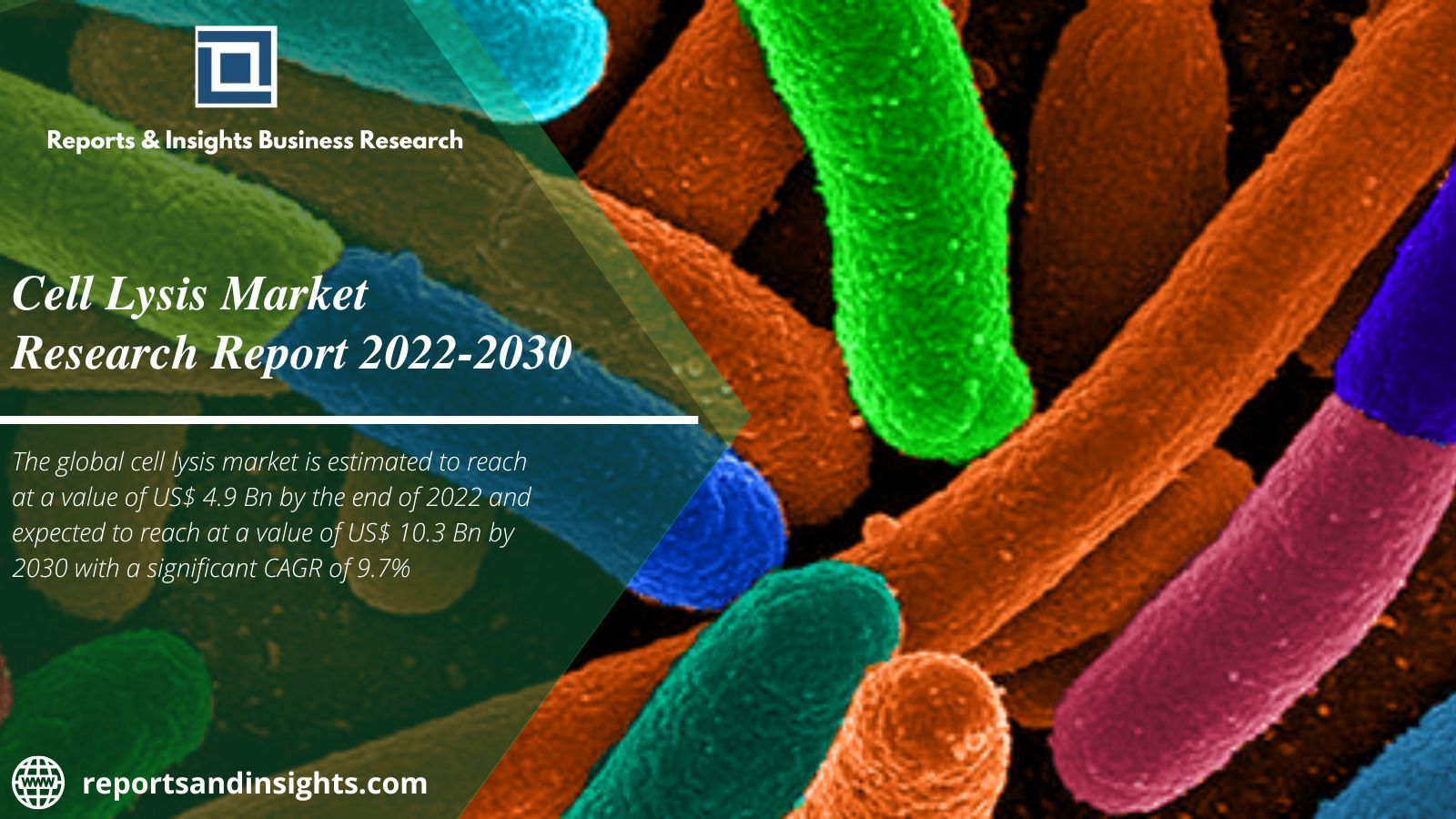 Cell Lysis Market 2022 Top Companies, Cagr, Drivers, Outlook 2030
