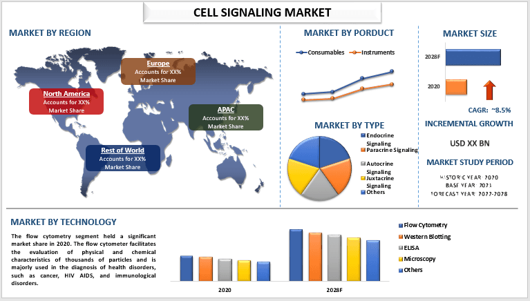 Cell Signaling Market - Industry Size, Share, Growth & Forecast 