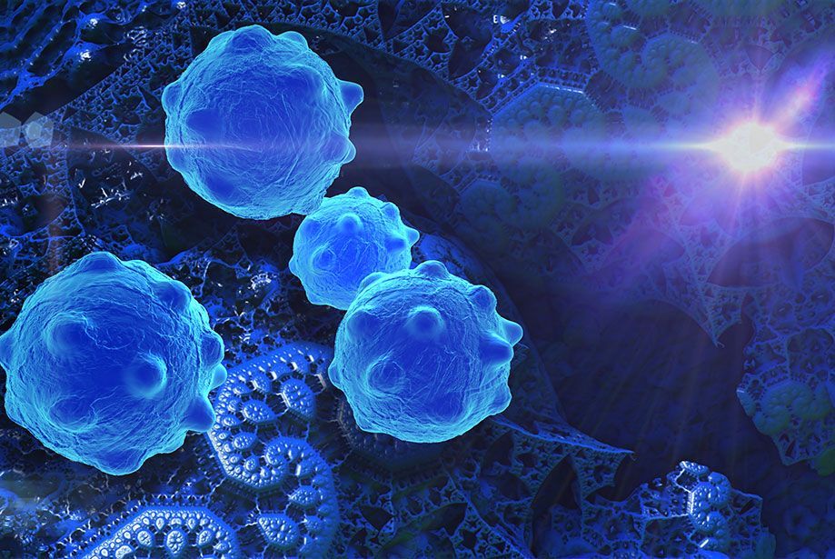 Cell Viability Assays Market 2022 Players and Industry Analysis 
