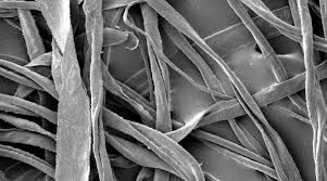 Cellulose Acetate Fiber Market: Global Industry Forecasts 2023-30