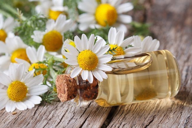 Report on Chamomile Oil Market 2028 - Value Market Research
