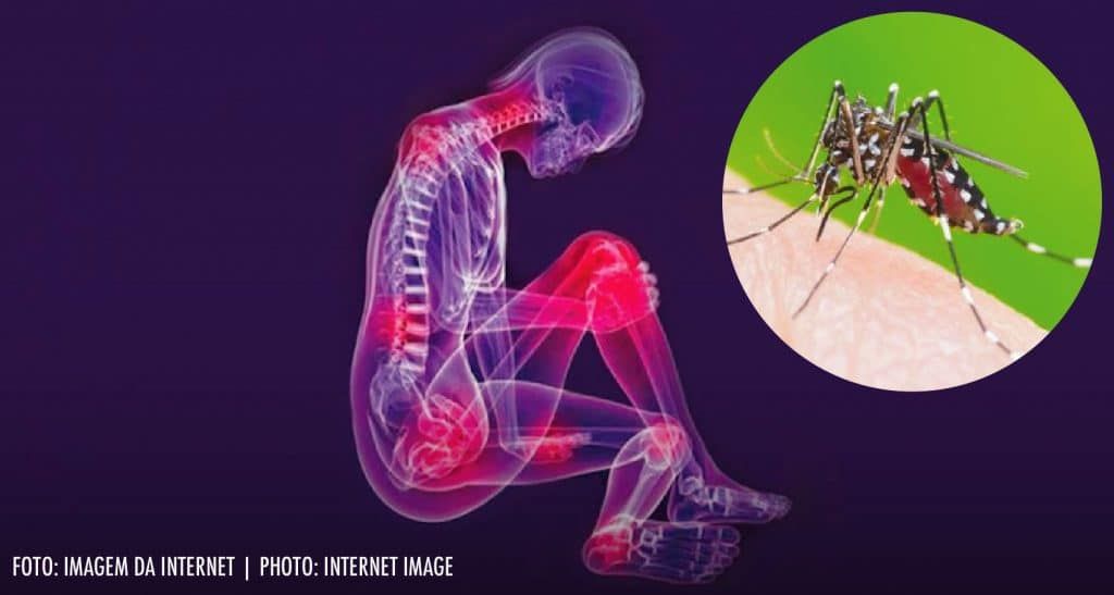 Chikungunya Diagnosis Market Report, 2022-2028 | Growth