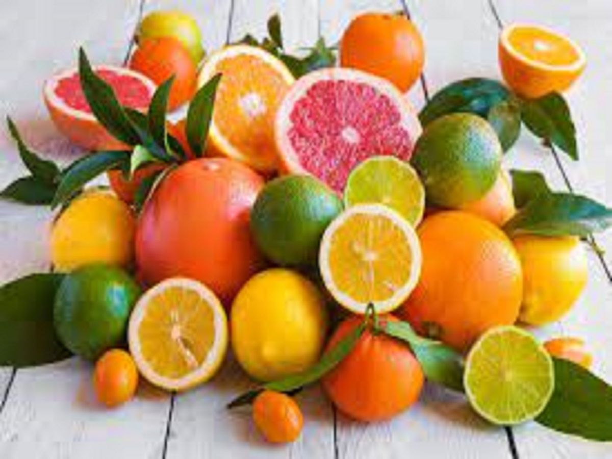 Citrus Bioflavonoids Market Size, Forecast to 2028
