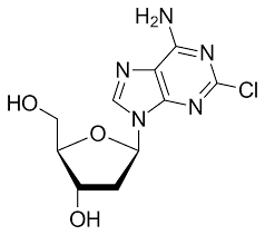 Cladribine Market Size, Share, Analysis Report to 2028
