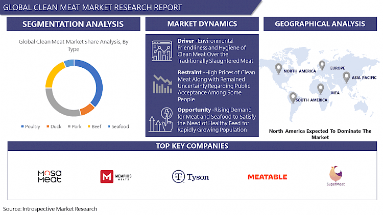 Clean Meat Market Share & Trends Analysis Report & Forecasts–2029