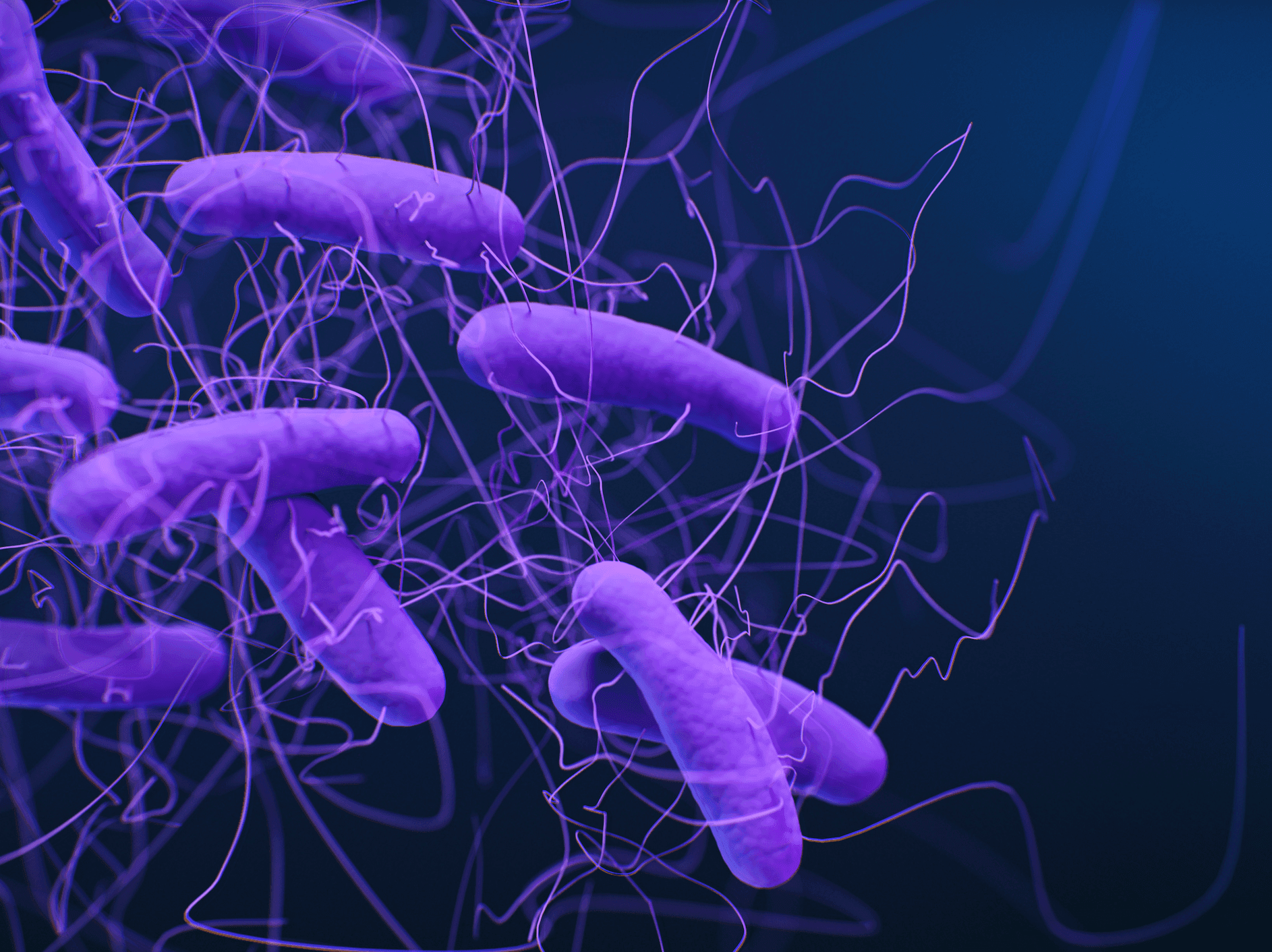 Clostridium Difficile Immunoassays Market Key Players Analysis