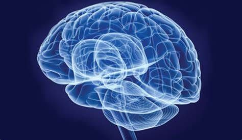 Cognitive Neuroscience Market Outlook Report Upto 2028