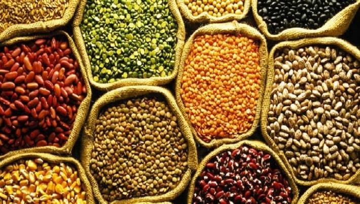 Commercial Seeds Market Growth | Research Report, 2028