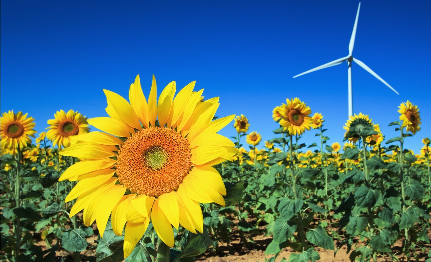 Connected Agriculture Market Size, Analysis Report 2022-2028
