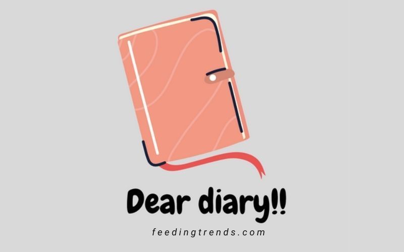 Dear Diary (Day-2)
