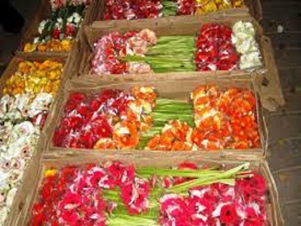 Cut Flower Packaging Market Players Analysis & Forecast to 2028