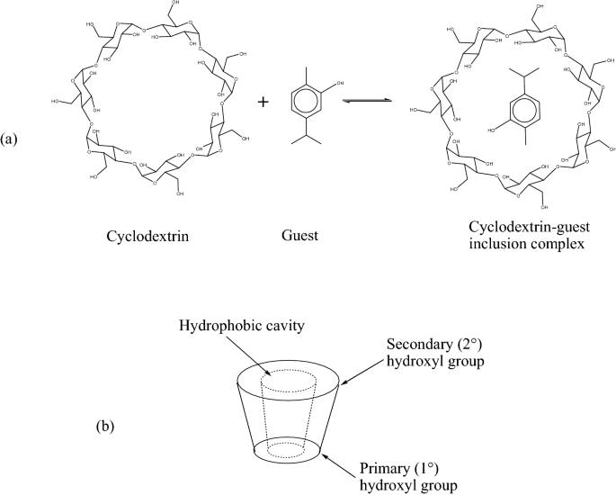 Cyclodextrin in Pharma Market Overview 2021–2028
