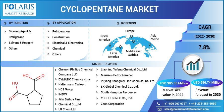 Cyclopentane Market  Size, Share, Statistics, Trends, Competitive