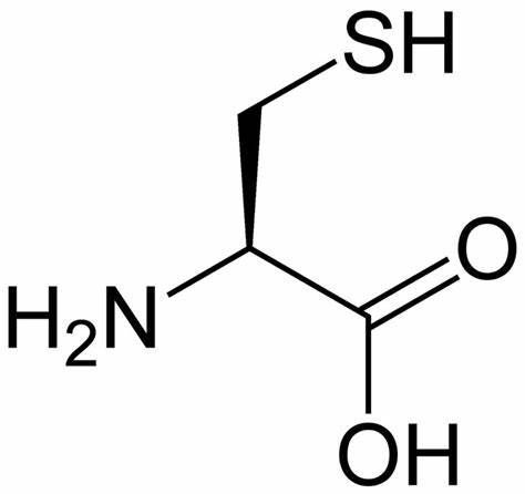 Cysteine Market Overview: Industry Forecast - 2028