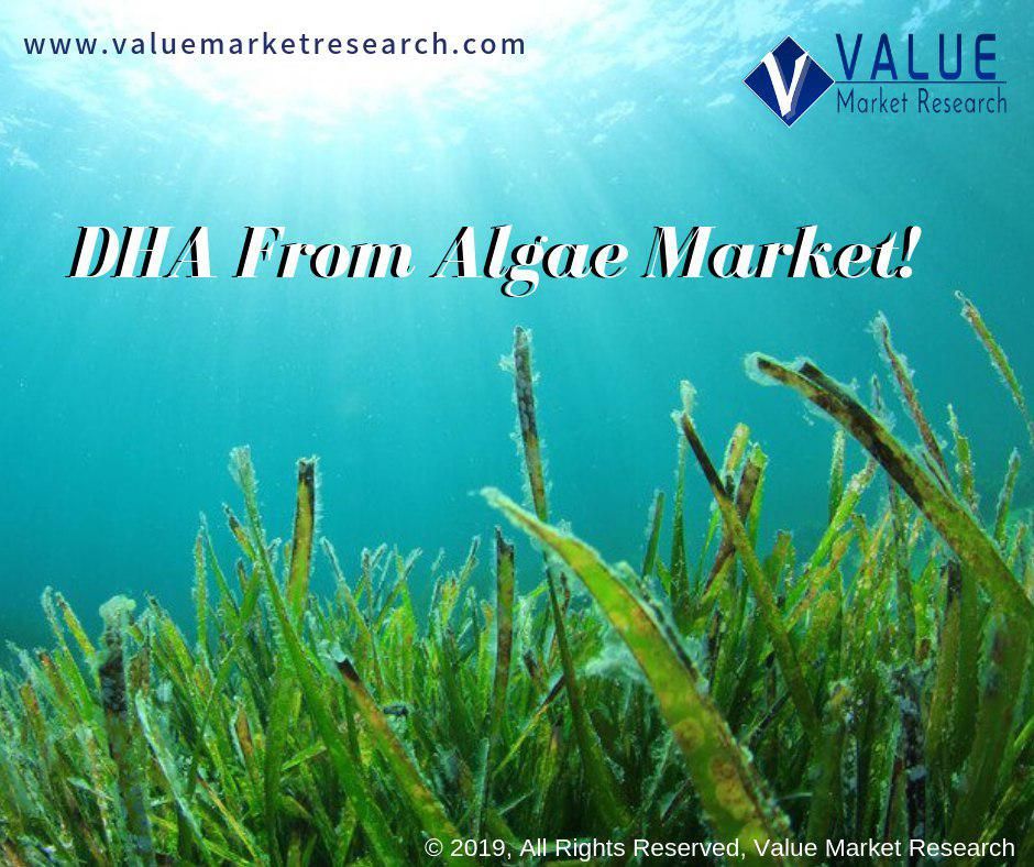 Dha From Algae Market Growth | Research Report, 2028