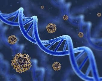 Dna Polymerase Market 2022 Size, Key Players Report to 2028
