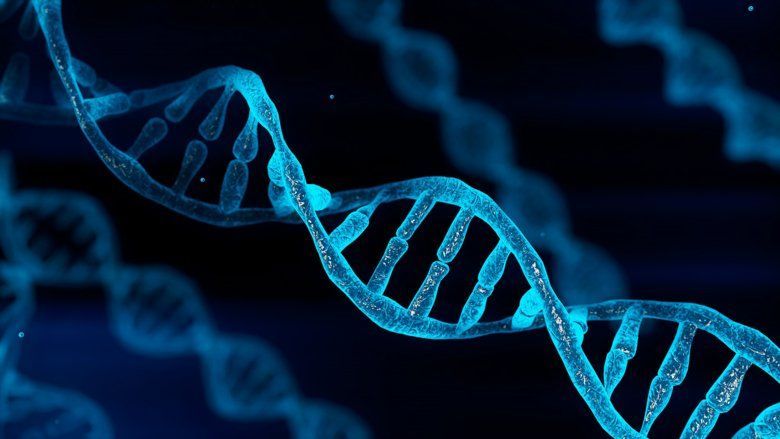 Unlocking the Secrets of Life: The Watson and Crick Model of Dna