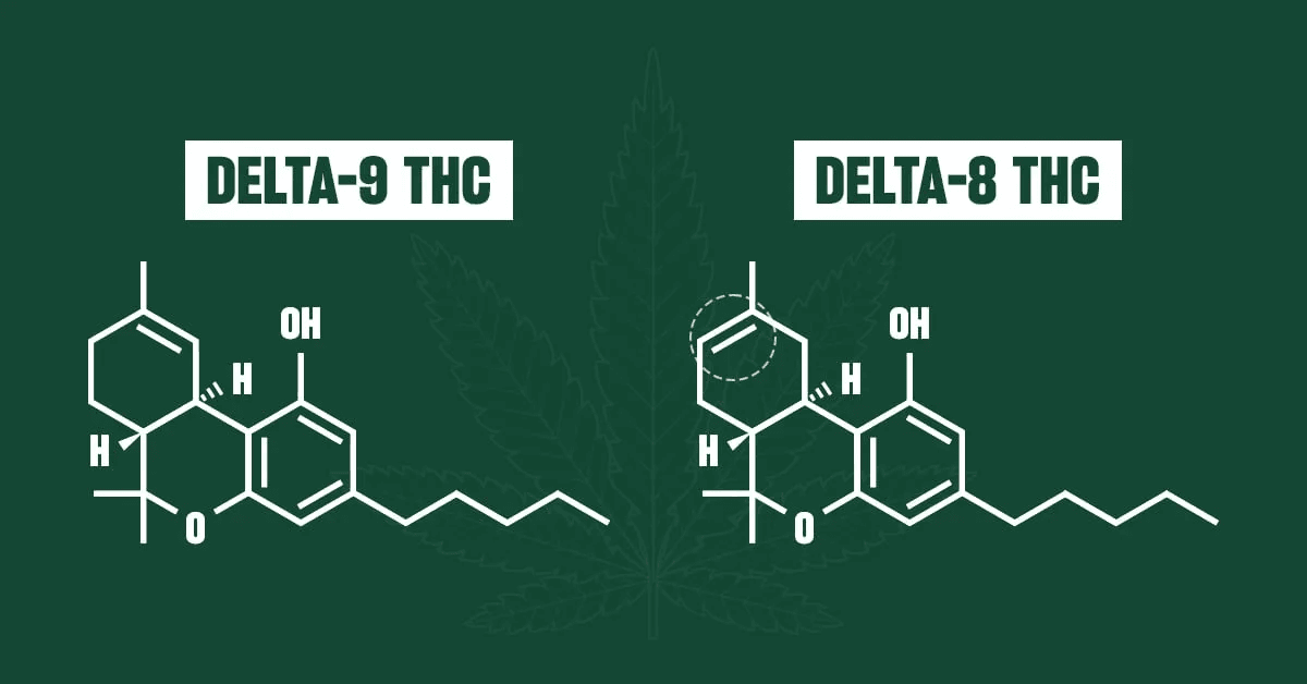 Delta 8 THC Gummies vs. Delta 9 THC Gummies: Key Differences Explained