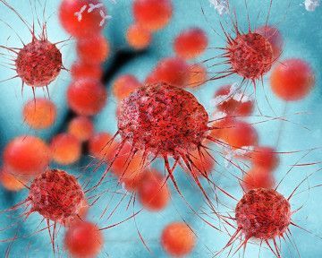 Dendritic Cell Cancer Vaccine Market  Growth & Global Forecast 