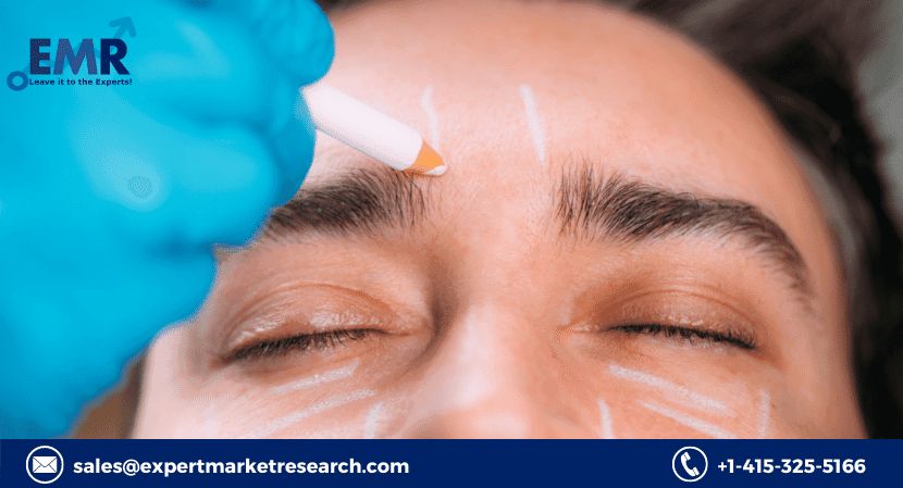 Dermal Facial Fillers Market Size, Share and Forecast 2023-2028
