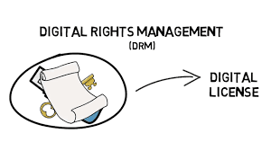 Digital Rights Management Market Share 2022–2030