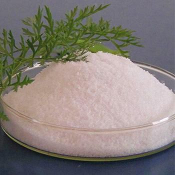 Dodecanedioic Acid Market Size, Status, Growth  Industry Analysis