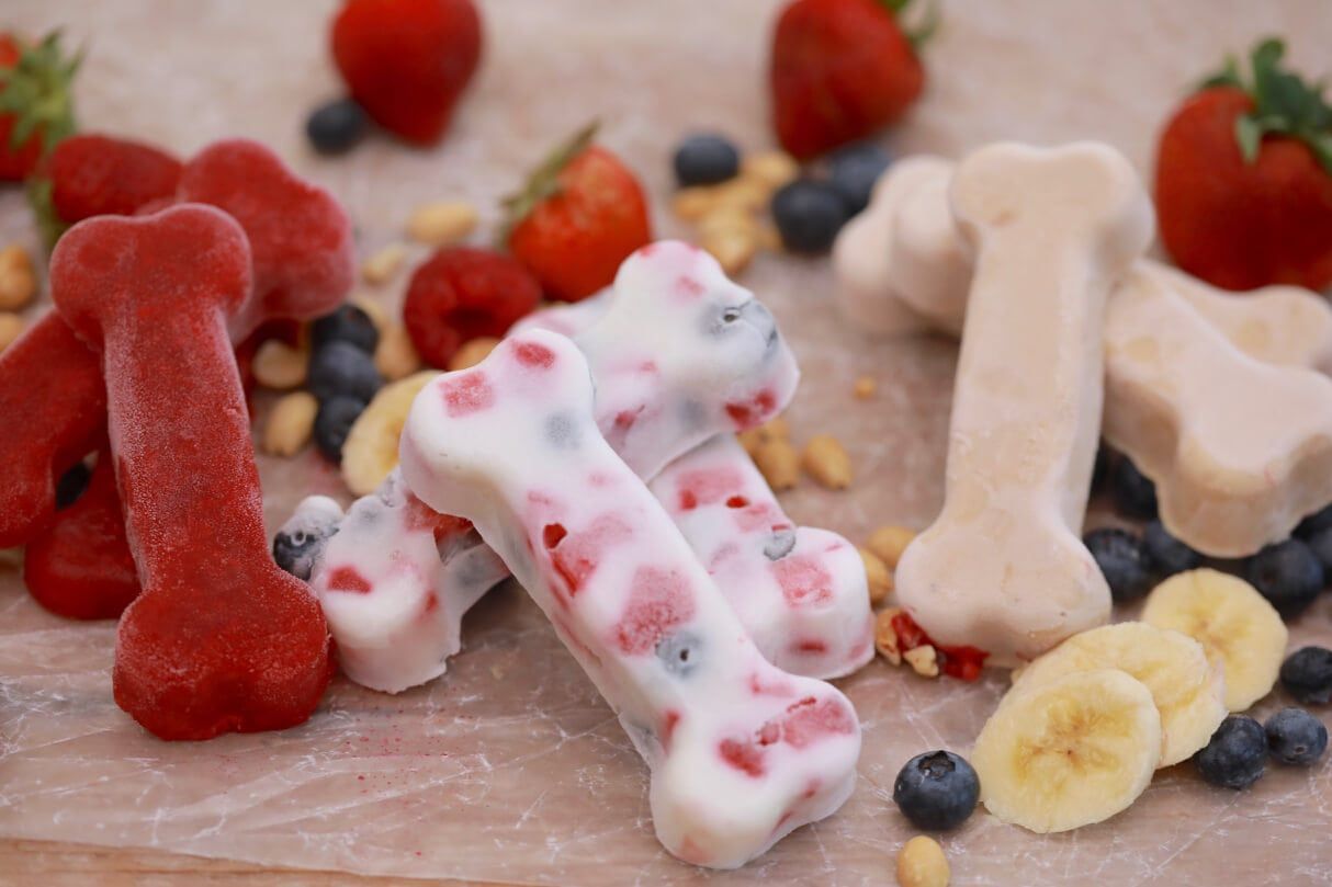 Dog Treats Market Overview Survey 2022 to 2028	
