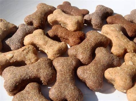 Dog Treats Market Outlook, to 2028