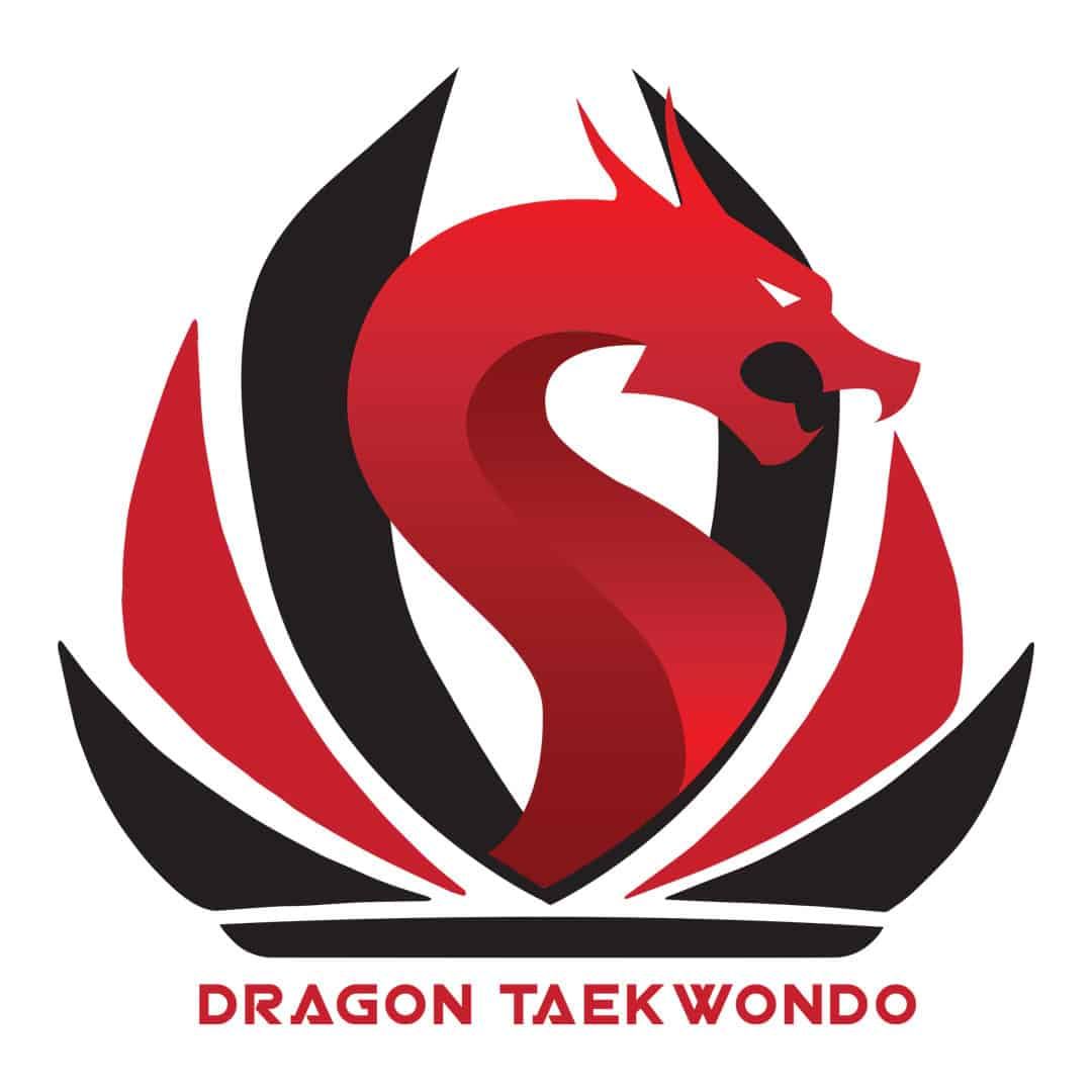 Unlocking Potential: Taekwondo Winter Break Camps for Kids