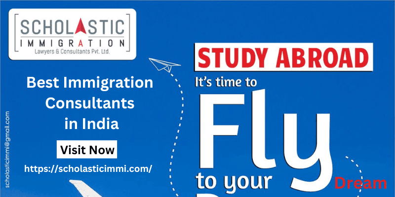 Top 10 Immigration Consultants in India
