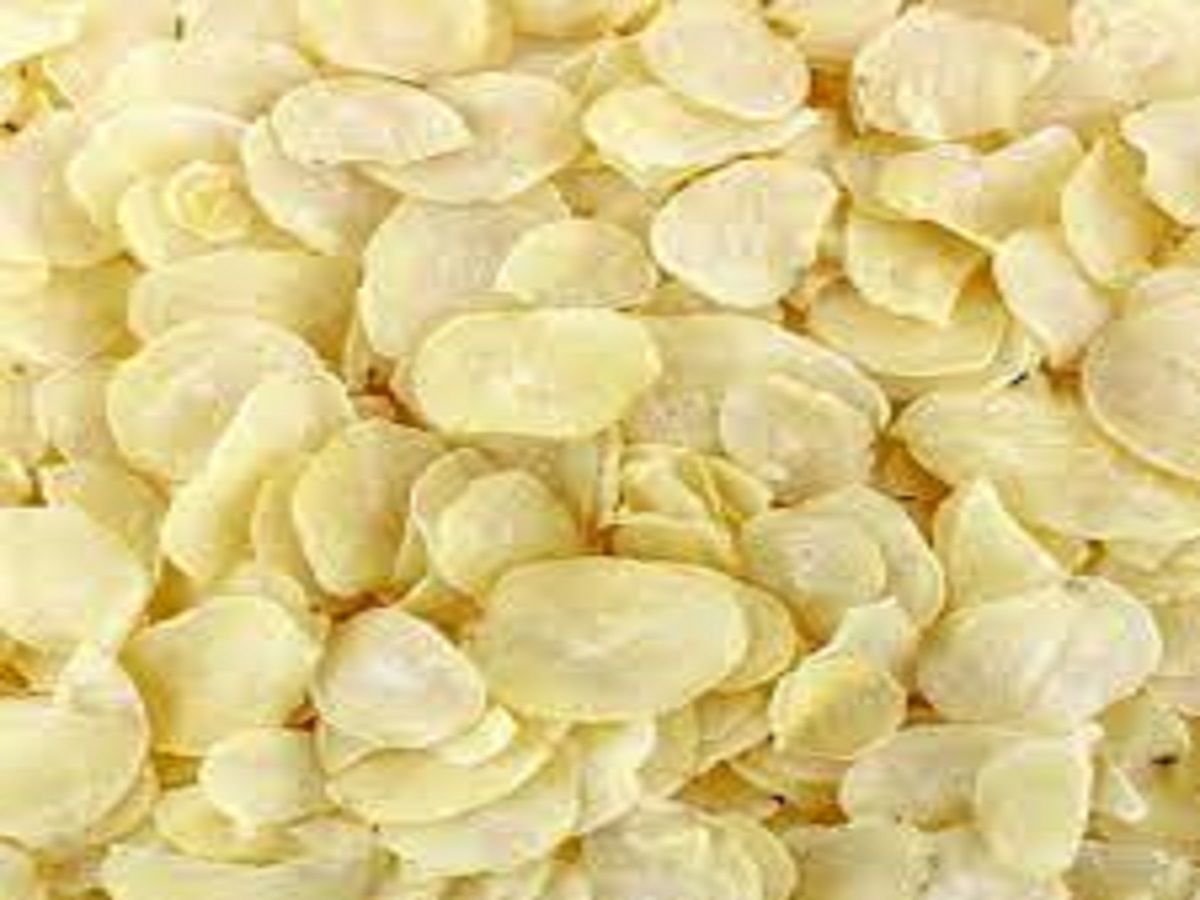 Dried Potatoes Market Size, Share, Regional Overview