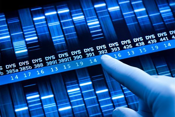 Egfr-Tki for Advanced Nsclc Market Size & Forecast Report to 2028