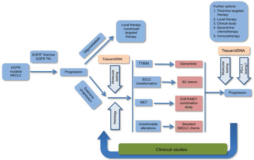Egfr-Tki for Advanced Nsclc Market Report 2021-2028