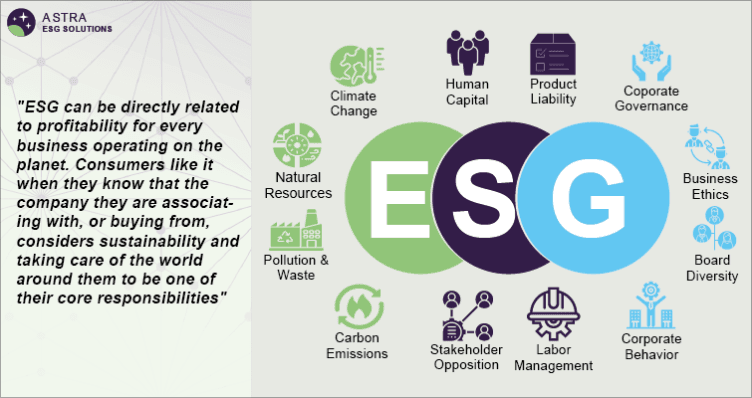 The Growing Role of Esg in the E-Commerce Industry