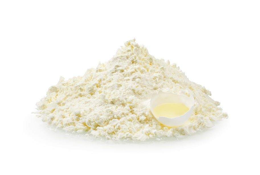 Egg White Powder Market Report 2021-2028
