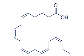 Eicosapentaenoic Acid Market Analysis and Forecast to 2028
