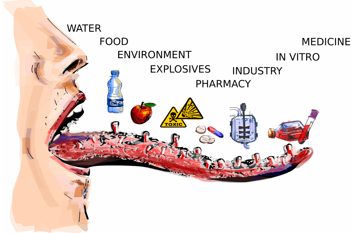 Electronic Tongue Market Size, Share - Industry Report 2028
