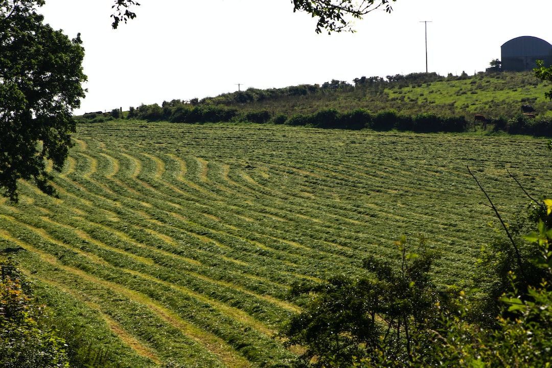 Global Silage Additives Market : Opportunities, Size and Growth
