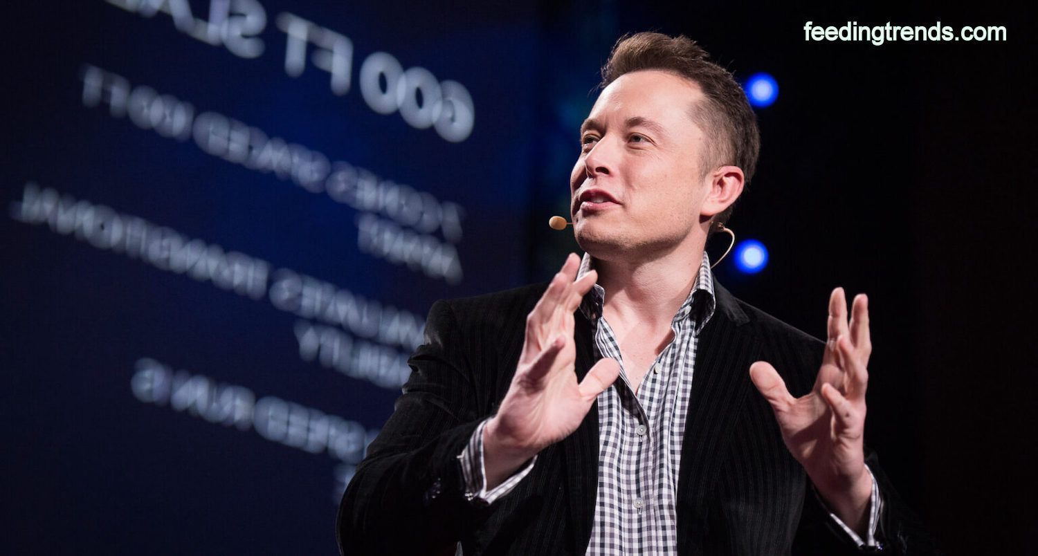 Story Of Elon Musk Becoming Billionaire