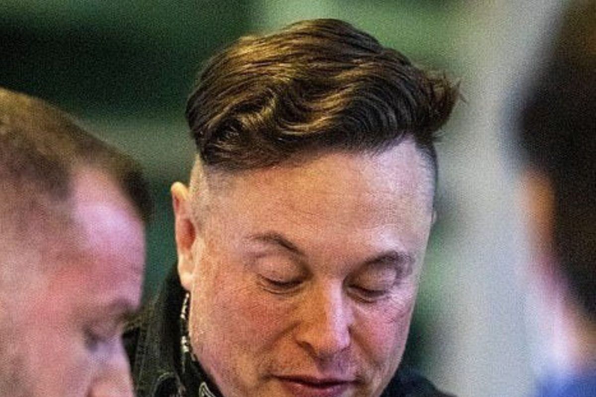 Elon Musk's New Vikings Haircut
